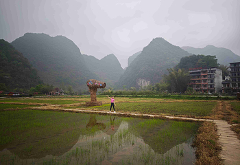鹅泉第 50 张图片