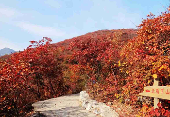 坡峰岭第 34 张图片