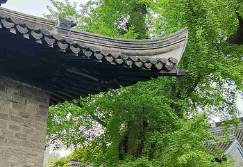 扬州八怪纪念馆第 13 张图片