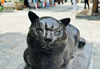 大兴善寺第 40 张图片