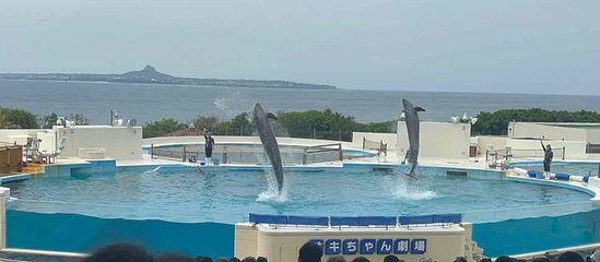 冲绳美丽海水族馆第 99 张图片