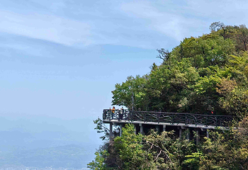 天门山国家森林公园第 376 张图片