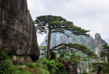 黄山风景区第 44 张图片