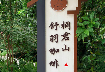 桐君山第 21 张图片