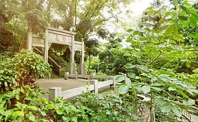 越秀公园第 278 张图片
