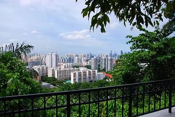 花柏山公园第 125 张图片
