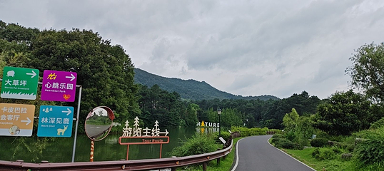 茅山森林世界第 135 张图片