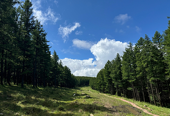 翠云山旅游度假区第 14 张图片