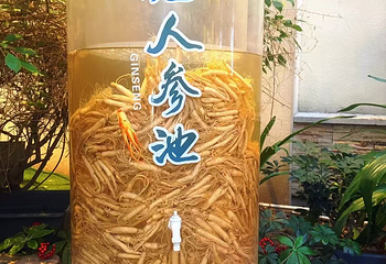 国信南山温泉第 49 张图片
