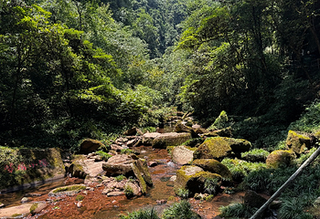碧峰峡景区第 93 张图片