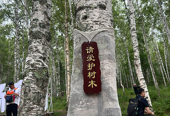 汤旺河林海奇石景区第 40 张图片