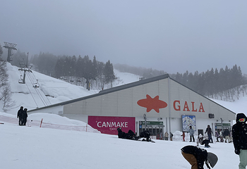 GALA汤泽滑雪场第 36 张图片