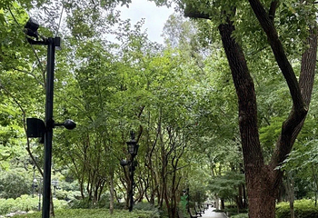 复兴公园第 71 张图片
