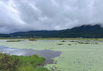 北海湿地第 148 张图片
