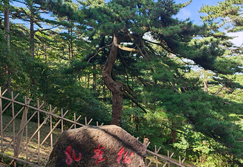 黄山风景区第 392 张图片