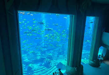 三亚亚特兰蒂斯失落的空间水族馆第 274 张图片