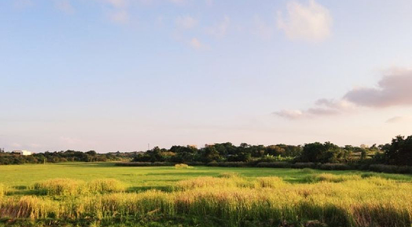 北海涠洲岛-湿地公园
