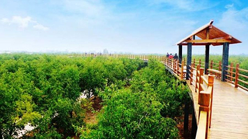 千年枣林游览区