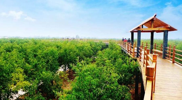 千年枣林游览区