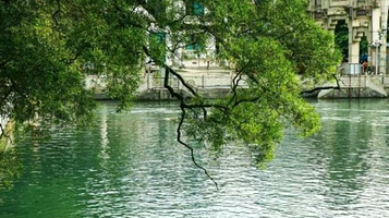 那坡县镇安公园