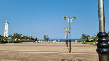 Hand of Mutual Shake