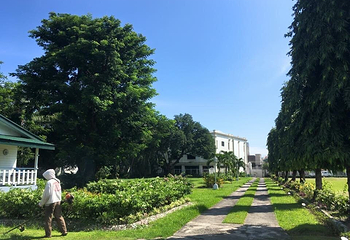 耐莉花园第 2 张图片