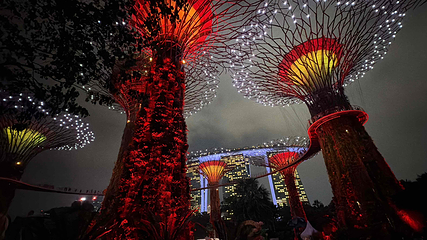 新加坡滨海湾花园第 445 张图片