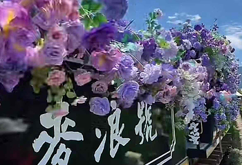喜洲麦田小火车第 16 张图片