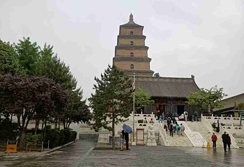 大雁塔第 154 张图片