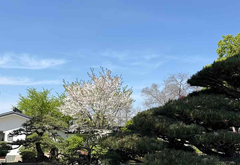 上海植物园第 42 张图片