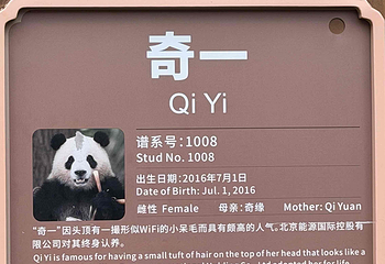 成都大熊猫繁育研究基地第 288 张图片