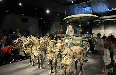 秦始皇帝陵博物院(兵马俑)第 417 张图片