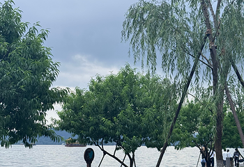 西湖风景名胜区第 366 张图片