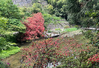 莫干山风景名胜区第 61 张图片