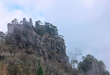 黄山风景区第 214 张图片