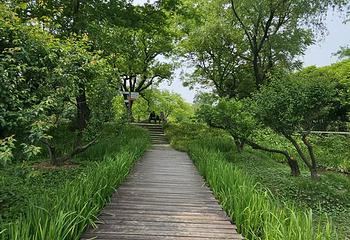 西溪国家湿地公园第 159 张图片