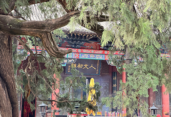 黄帝陵第 12 张图片
