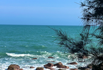 海龟湾第 35 张图片