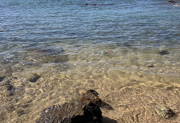 天涯海角第 325 张图片