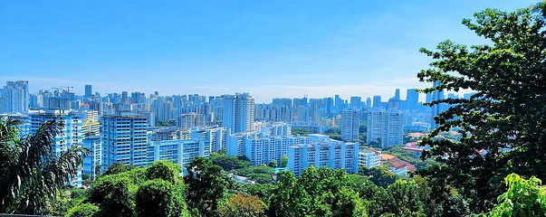 花柏山公园第 40 张图片