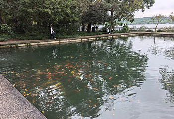 西湖风景名胜区第 414 张图片
