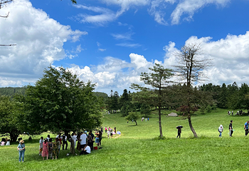 仙女山国家森林公园第 119 张图片