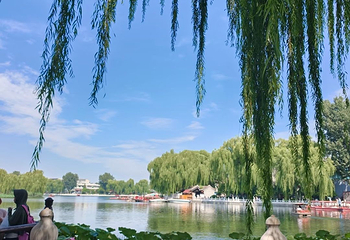什刹海风景区第 196 张图片