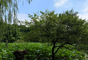 兰亭景区第 144 张图片