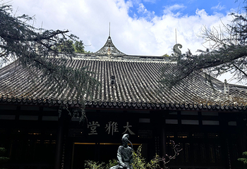 成都杜甫草堂博物馆第 267 张图片