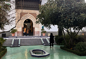 巴黎大清真寺第 22 张图片