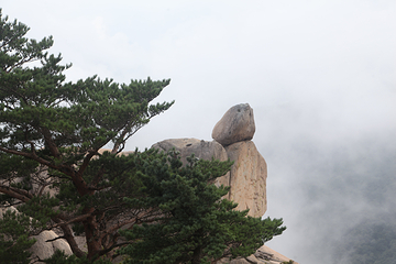 蔚山岩第 21 张图片