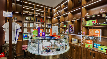 Golden Bridge Wellness Club