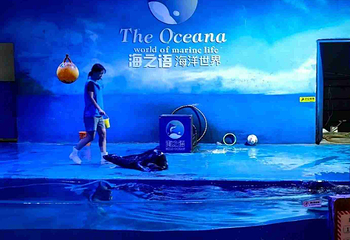 海之语海洋世界第 43 张图片