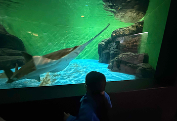 上海海洋水族馆第 196 张图片